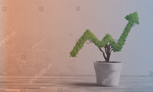 NCC Advisory_web images_500x350_NCC Advisory_business services_business growth potplant